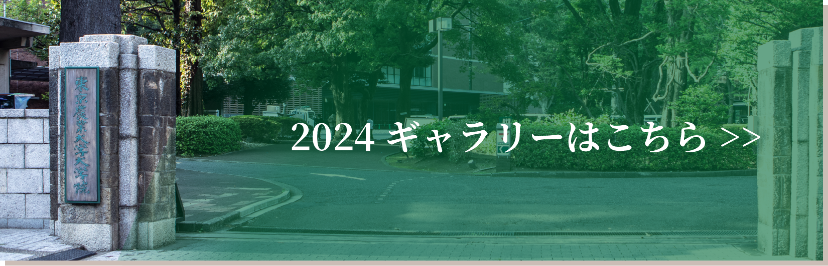 2024ギャラリーはこちら